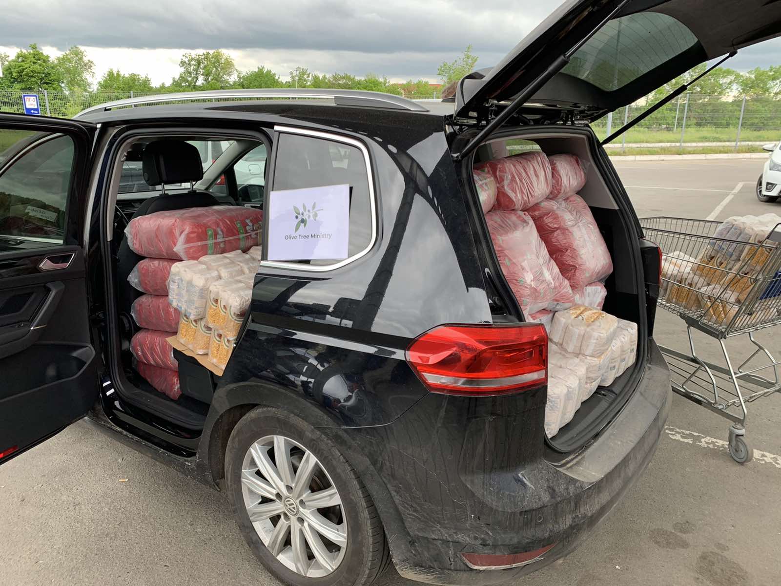 Olive Tree Ministry (7)